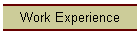 Work Experience