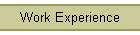 Work Experience