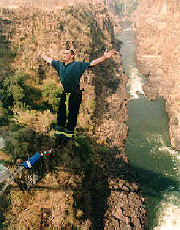 bungee.jpg (20506 bytes)